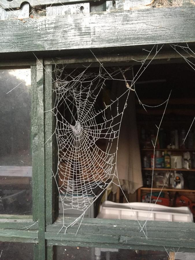 B&B Van Beijden Overasselt Exteriör bild